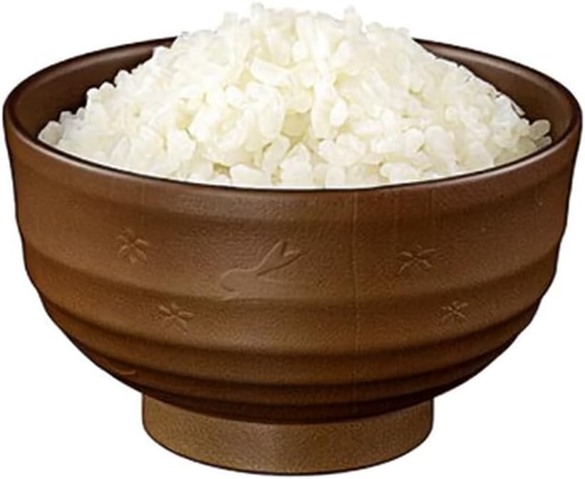 Japanese Soup Bowls Made in Japan, 4-Pack – Traditional Miso & Rice Bowls, Microwave & Dishwasher Safe, BPA-Free Resin, Brown Rabbit