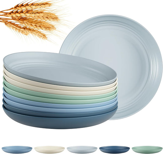 Quatish 10 PCS Reusable Plastic Plates, Dinner Plate, Plate Set, Blue