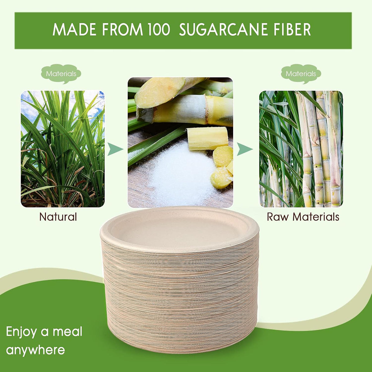 Vplus 150 Pack Compostable Bagasse Paper Plates 10.25 inch, Nature